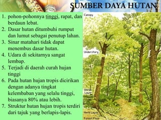 1. pohon-pohonnya tinggi, rapat, dan
berdaun lebat.
2. Dasar hutan ditumbuhi rumput
dan lumut sebagai penutup lahan.
3. Sinar matahari tidak dapat
menembus dasar hutan.
4. Udara di sekitarnya sangat
lembap.
5. Terjadi di daerah curah hujan
tinggi
6. Pada hutan hujan tropis dicirikan
dengan adanya tingkat
kelembaban yang selalu tinggi,
biasanya 80% atau lebih.
7. Struktur hutan hujan tropis terdiri
dari tajuk yang berlapis-lapis.

 