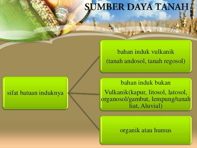 Sumber Daya Alam 28621787