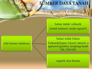 bahan induk vulkanik
(tanah andosol, tanah regosol)

sifat batuan induknya

bahan induk bukan
Vulkanik(kapur, litosol, latosol, o
rganosol/gambut, lempung/tanah
liat, Aluvial)

organik atau humus

 