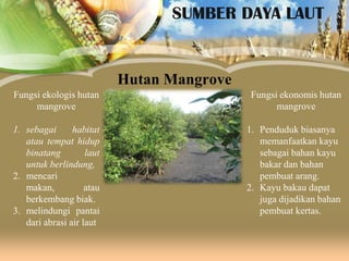 SUMBER DAYA LAUT

Hutan Mangrove
Fungsi ekologis hutan
mangrove

Fungsi ekonomis hutan
mangrove

1. sebagai
habitat
atau tempat hidup
binatang
laut
untuk berlindung,
2. mencari
makan,
atau
berkembang biak.
3. melindungi pantai
dari abrasi air laut

1. Penduduk biasanya
memanfaatkan kayu
sebagai bahan kayu
bakar dan bahan
pembuat arang.
2. Kayu bakau dapat
juga dijadikan bahan
pembuat kertas.

 