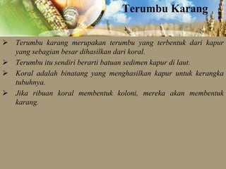 Terumbu Karang
 Terumbu karang merupakan terumbu yang terbentuk dari kapur
yang sebagian besar dihasilkan dari koral.
 Terumbu itu sendiri berarti batuan sedimen kapur di laut.
 Koral adalah binatang yang menghasilkan kapur untuk kerangka
tubuhnya.
 Jika ribuan koral membentuk koloni, mereka akan membentuk
karang.

 