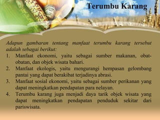 Terumbu Karang

Adapun gambaran tentang manfaat terumbu karang tersebut
adalah sebagai berikut:
1. Manfaat ekonomi, yaitu sebagai sumber makanan, obatobatan, dan objek wisata bahari.
2. Manfaat ekologis, yaitu mengurangi hempasan gelombang
pantai yang dapat berakibat terjadinya abrasi.
3. Manfaat sosial ekonomi, yaitu sebagai sumber perikanan yang
dapat meningkatkan pendapatan para nelayan.
4. Terumbu karang juga menjadi daya tarik objek wisata yang
dapat meningkatkan pendapatan penduduk sekitar dari
pariswisata.

 