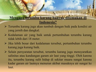 Mengapa terumbu karang banyak ditemukan di
Indonesia?
 Terumbu karang juga akan tumbuh dengan baik pada kondisi air
yang jernih dan dangkal.
 Kedalaman air yang baik untuk pertumbuhan terumbu karang
tidak lebih dari 18 meter.
 Jika lebih besar dari kedalaman tersebut, pertumbuhan terumbu
karang juga kurang baik.
 Selain persyaratan tersebut, terumbu karang juga mensyaratkan
salinitas atau kandungan garam air laut yang tinggi. Oleh karena
itu, terumbu karang sulit hidup di sekitar muara sungai karena
kadar garam air lautnya menurun akibat masuknya air sungai ke
laut.

 