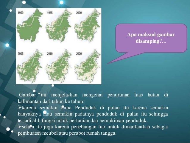 Sumber Daya Hutan 67344890