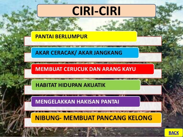 Sumber Hutan Tingkatan 3