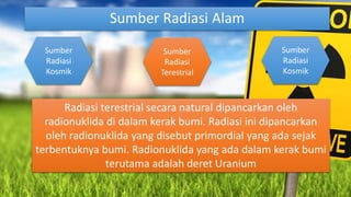 Sumber Radiasi Alam
Radiasi terestrial secara natural dipancarkan oleh
radionuklida di dalam kerak bumi. Radiasi ini dipancarkan
oleh radionuklida yang disebut primordial yang ada sejak
terbentuknya bumi. Radionuklida yang ada dalam kerak bumi
terutama adalah deret Uranium
Sumber
Radiasi
Kosmik
Sumber
Radiasi
Terestrial
Sumber
Radiasi
Kosmik
 