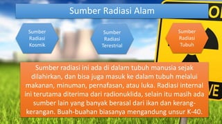 Sumber Radiasi Alam
Sumber radiasi ini ada di dalam tubuh manusia sejak
dilahirkan, dan bisa juga masuk ke dalam tubuh melalui
makanan, minuman, pernafasan, atau luka. Radiasi internal
ini terutama diterima dari radionuklida, selain itu masih ada
sumber lain yang banyak berasal dari ikan dan kerang-
kerangan. Buah-buahan biasanya mengandung unsur K-40.
Sumber
Radiasi
Kosmik
Sumber
Radiasi
Terestrial
Sumber
Radiasi
Tubuh
 