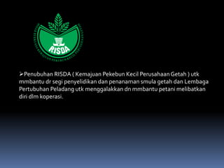 Penubuhan RISDA ( Kemajuan Pekebun Kecil PerusahaanGetah ) utk
mmbantu dr segi penyelidikan dan penanaman smula getah dan Lembaga
Pertubuhan Peladang utk menggalakkan dn mmbantu petani melibatkan
diri dlm koperasi.
 