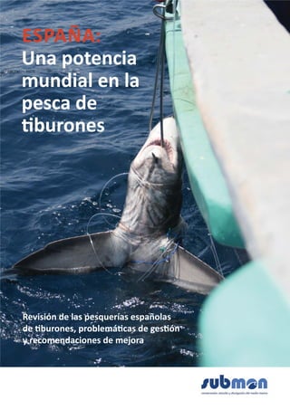 ESPAÑA:




Revisión de las pesquerías españolas
 