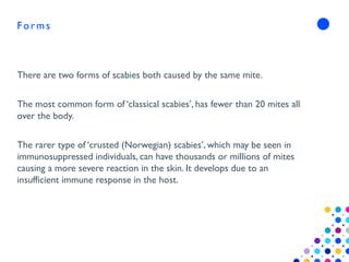 Scabies Body Distribution Nabshsbsjsbebjeb IWS dermatology Scabies.pptx