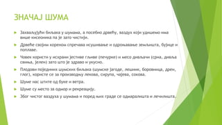 Sume | PPT