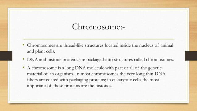 PACKAGING OF EUKARYOTIC DNA IN THE CHROMOSOME PHYSICAL PROPERTIES OF ...