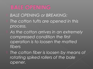  BALE OPENING or BREAKING:
 The cotton tufts are opened in this
process.
 As the cotton arrives in an extremely
compressed condition the first
operation is to loosen the matted
fibers
 The cotton fiber is loosen by means of
rotating spiked rollers of the bale
opener.
 
