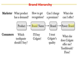 Brand Hierarchy
 