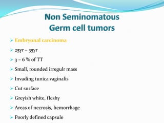  Embryonal carcinoma
 25yr – 35yr
 3 – 6 % of TT
 Small, rounded irregulr mass
 Invading tunica vaginalis
 Cut surface
 Greyish white, fleshy
 Areas of necrosis, hemorrhage
 Poorly defined capsule
 