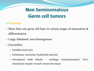  Teratoma
 More than one germ cell layer in various stages of maturation &
differentiation
 Large, lobulated, non-homogenous
 Cut surface
 Variably sized cysts
 Gelatinous, mucinous, hyalinized material
 Intersposed solid islands – cartilage/ bone/pancreatic/ liver/
intesttinal/ muscle/ neural/ connective tissue
 
