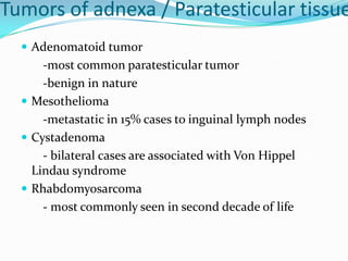 Tumors of adnexa / Paratesticular tissue
 Adenomatoid tumor
-most common paratesticular tumor
-benign in nature
 Mesothelioma
-metastatic in 15% cases to inguinal lymph nodes
 Cystadenoma
- bilateral cases are associated with Von Hippel
Lindau syndrome
 Rhabdomyosarcoma
- most commonly seen in second decade of life
 
