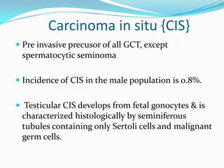 Carcinoma in situ {CIS}
 Pre invasive precusor of all GCT, except
spermatocytic seminoma
 Incidence of CIS in the male population is 0.8%.
 Testicular CIS develops from fetal gonocytes & is
characterized histologically by seminiferous
tubules containing only Sertoli cells and malignant
germ cells.
 