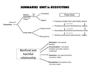 SUMMARIES UNIT 5: ECOSYSTEMS
 