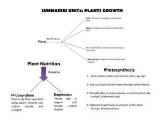 SUMMARIES UNIT4: PLANTS GROWTH
 