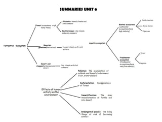 SUMMARIES UNIT 6
 