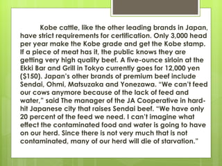 Kobe cattle, like the other leading brands in Japan,
have strict requirements for certification. Only 3,000 head
per year make the Kobe grade and get the Kobe stamp.
If a piece of meat has it, the public knows they are
getting very high quality beef. A five-ounce sirloin at the
Ekki Bar and Grill in Tokyo currently goes for 12,000 yen
($150). Japan’s other brands of premium beef include
Sendai, Ohmi, Matsuzaka and Yonezawa. “We can’t feed
our cows anymore because of the lack of feed and
water,” said The manager of the JA Cooperative in hard-
hit Japanese city that raises Sendai beef. “We have only
20 percent of the feed we need. I can’t imagine what
effect the contaminated food and water is going to have
on our herd. Since there is not very much that is not
contaminated, many of our herd will die of starvation.”
 