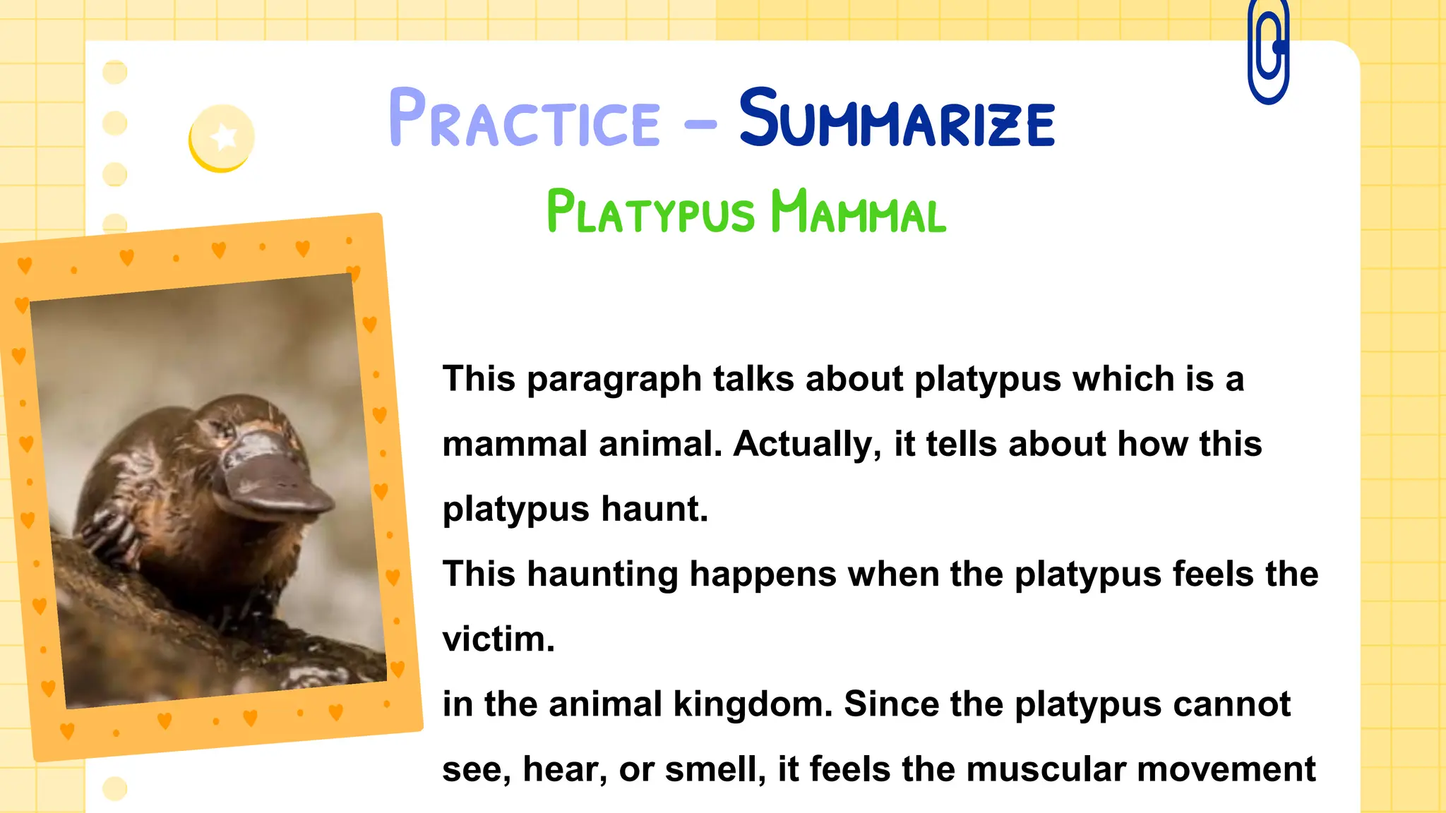 Practice – Summarize
Platypus Mammal
This paragraph talks about platypus which is a
mammal animal. Actually, it tells about how this
platypus haunt.
This haunting happens when the platypus feels the
victim.
in the animal kingdom. Since the platypus cannot
see, hear, or smell, it feels the muscular movement
 