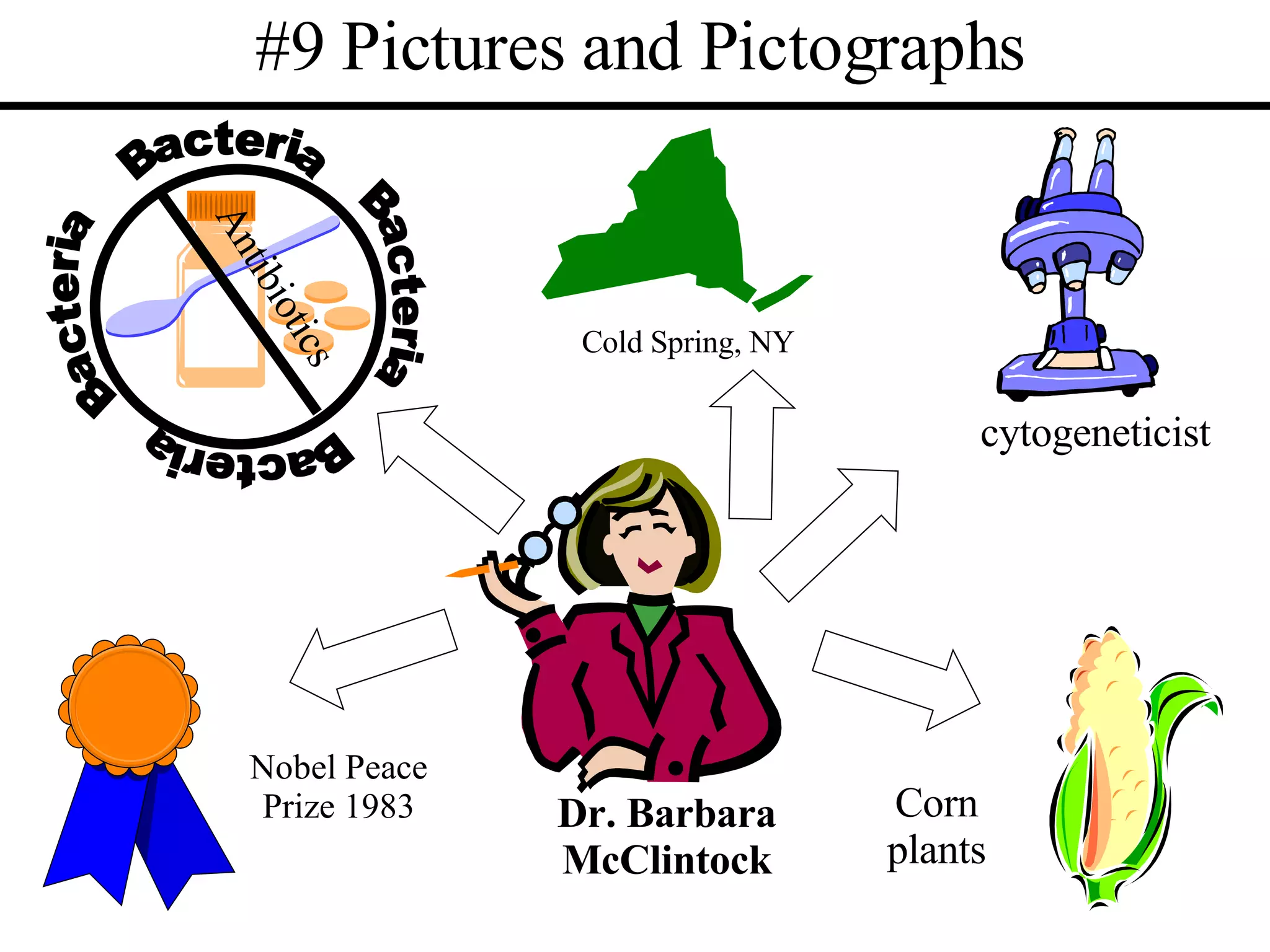#9 Pictures and Pictographs Bacteria Bacteria Bacteria Antibiotics Bacteria Cold Spring, NY cytogeneticist Corn plants Nobel Peace Prize 1983 Dr. Barbara McClintock 