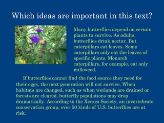 Which ideas are important in this text?
Many butterflies depend on certain
plants to survive. As adults,
butterflies drink nectar. But
caterpillars eat leaves. Some
caterpillars only eat the leaves of
specific plants. Monarch
caterpillars, for example, eat only
milkweed.
If butterflies cannot find the food source they need for
their eggs, the next generation will not survive. When
habitats are changed, such as when wetlands are drained or
forests are cleared, butterfly populations may drop
dramatically. According to the Xerxes Society, an invertebrate
conservation group, over 50 kinds of U.S. butterflies are at
risk.

 
