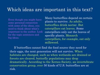 Which ideas are important in this text?
Even though you might have
some personal connection
with some of the ideas, you
need to think about what’s
important to the author. Look
for the topic sentences and
big ideas.

Many butterflies depend on certain
plants to survive. As adults,
butterflies drink nectar. But
caterpillars eat leaves. Some
caterpillars only eat the leaves of
specific plants. Monarch
caterpillars, for example, eat only
milkweed.

If butterflies cannot find the food source they need for
their eggs, the next generation will not survive. When
habitats are changed, such as when wetlands are drained or
forests are cleared, butterfly populations may drop
dramatically. According to the Xerxes Society, an invertebrate
conservation group, over 50 kinds of U.S. butterflies are at
risk.

 