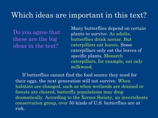 Which ideas are important in this text?
Do you agree that
these are the big
ideas in the text?

Many butterflies depend on certain
plants to survive. As adults,
butterflies drink nectar. But
caterpillars eat leaves. Some
caterpillars only eat the leaves of
specific plants. Monarch
caterpillars, for example, eat only
milkweed.

If butterflies cannot find the food source they need for
their eggs, the next generation will not survive. When
habitats are changed, such as when wetlands are drained or
forests are cleared, butterfly populations may drop
dramatically. According to the Xerxes Society, an invertebrate
conservation group, over 50 kinds of U.S. butterflies are at
risk.

 