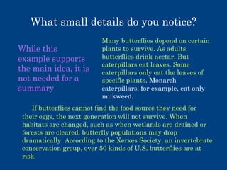 What small details do you notice?
While this
example supports
the main idea, it is
not needed for a
summary

Many butterflies depend on certain
plants to survive. As adults,
butterflies drink nectar. But
caterpillars eat leaves. Some
caterpillars only eat the leaves of
specific plants. Monarch
caterpillars, for example, eat only
milkweed.

If butterflies cannot find the food source they need for
their eggs, the next generation will not survive. When
habitats are changed, such as when wetlands are drained or
forests are cleared, butterfly populations may drop
dramatically. According to the Xerxes Society, an invertebrate
conservation group, over 50 kinds of U.S. butterflies are at
risk.

 
