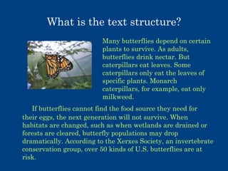 What is the text structure?
Many butterflies depend on certain
plants to survive. As adults,
butterflies drink nectar. But
caterpillars eat leaves. Some
caterpillars only eat the leaves of
specific plants. Monarch
caterpillars, for example, eat only
milkweed.
If butterflies cannot find the food source they need for
their eggs, the next generation will not survive. When
habitats are changed, such as when wetlands are drained or
forests are cleared, butterfly populations may drop
dramatically. According to the Xerxes Society, an invertebrate
conservation group, over 50 kinds of U.S. butterflies are at
risk.

 