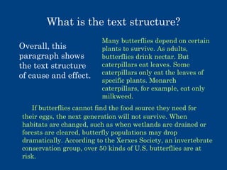 What is the text structure?
Overall, this
paragraph shows
the text structure
of cause and effect.

Many butterflies depend on certain
plants to survive. As adults,
butterflies drink nectar. But
caterpillars eat leaves. Some
caterpillars only eat the leaves of
specific plants. Monarch
caterpillars, for example, eat only
milkweed.

If butterflies cannot find the food source they need for
their eggs, the next generation will not survive. When
habitats are changed, such as when wetlands are drained or
forests are cleared, butterfly populations may drop
dramatically. According to the Xerxes Society, an invertebrate
conservation group, over 50 kinds of U.S. butterflies are at
risk.

 