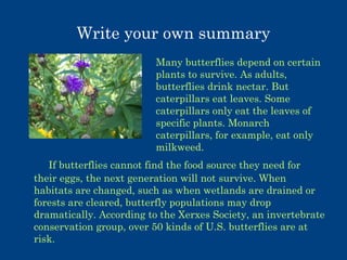 Write your own summary
Many butterflies depend on certain
plants to survive. As adults,
butterflies drink nectar. But
caterpillars eat leaves. Some
caterpillars only eat the leaves of
specific plants. Monarch
caterpillars, for example, eat only
milkweed.
If butterflies cannot find the food source they need for
their eggs, the next generation will not survive. When
habitats are changed, such as when wetlands are drained or
forests are cleared, butterfly populations may drop
dramatically. According to the Xerxes Society, an invertebrate
conservation group, over 50 kinds of U.S. butterflies are at
risk.

 