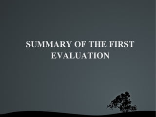 SUMMARY OF THE FIRST EVALUATION 