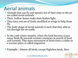 Class IV - Adaptations-How Animals Survive