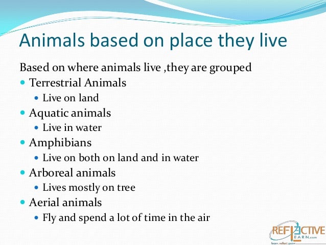 Class IV AdaptationsHow Animals Survive