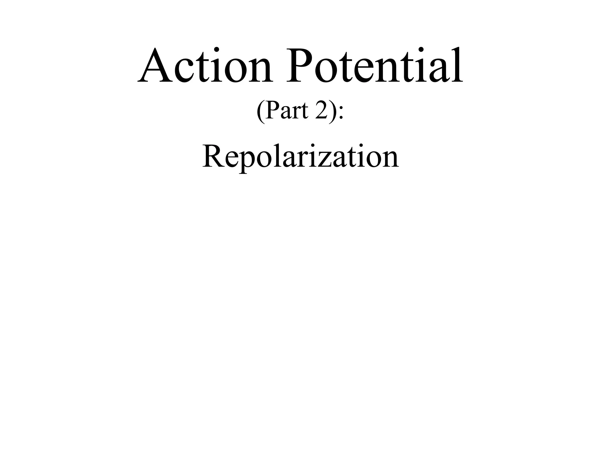 Action Potential (Part 2): Repolarization 