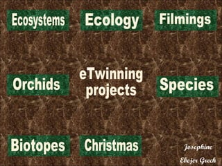 eTwinning projects Orchids Biotopes Christmas Ecology Species Ecosystems Filmings 