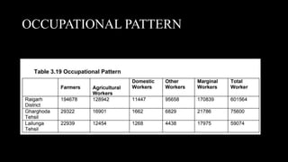 OCCUPATIONAL PATTERN
 