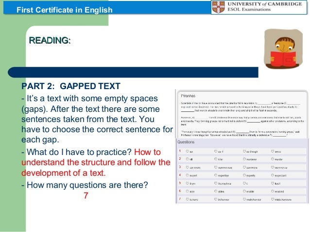 davita s harp essay writing