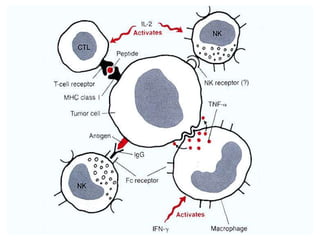 summary host defence against tumornmph.ppt