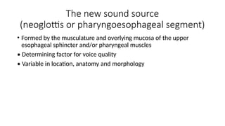 The new sound source
(neoglottis or pharyngoesophageal segment)
• Formed by the musculature and overlying mucosa of the upper
esophageal sphincter and/or pharyngeal muscles
• Determining factor for voice quality
• Variable in location, anatomy and morphology
 