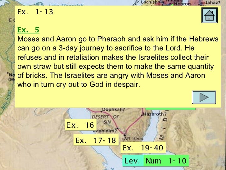 summary for exodus 6