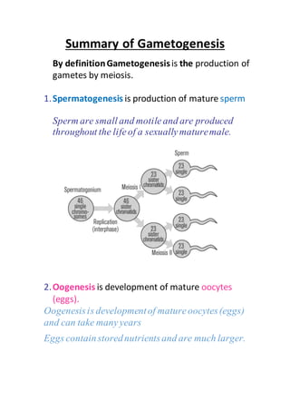 Summary of Gametogenesis
By definitionGametogenesisis the production of
gametes by meiosis.
1.Spermatogenesis is production of mature sperm
Sperm are small and motileand are produced
throughout the lifeof a sexuallymaturemale.
2.Oogenesis is development of mature oocytes
(eggs).
Oogenesisis developmentof matureoocytes(eggs)
and can take manyyears
Eggs containstorednutrientsand are much larger.
 
