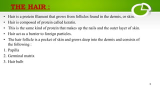 Summary of hair structure | PPT