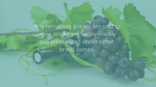 Summary of my internship