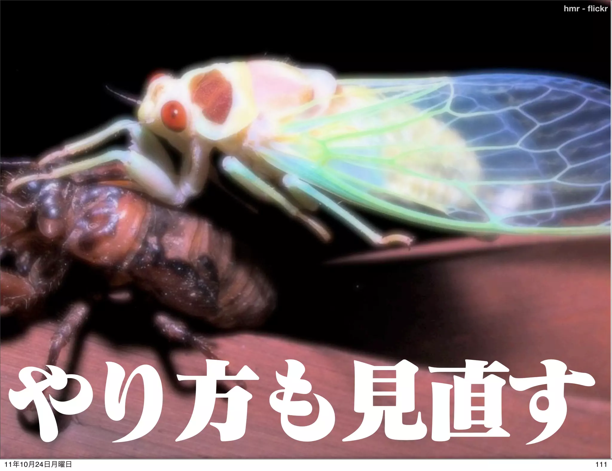 hmr - ﬂickr




11   10   24          111
 