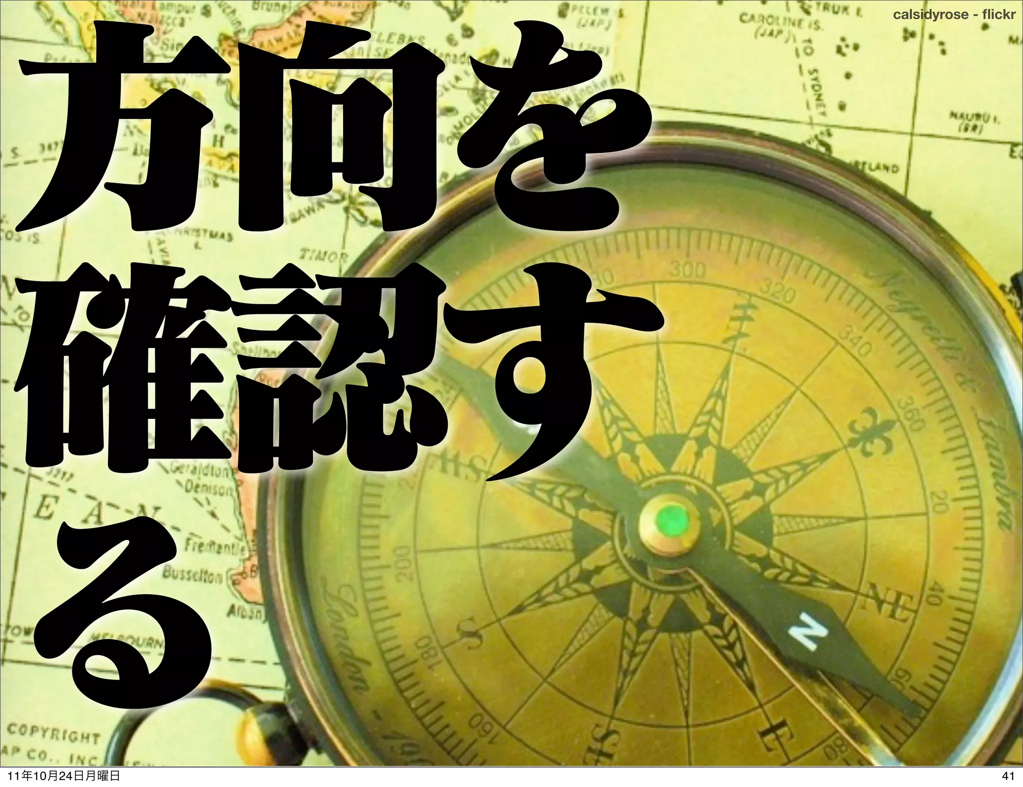 calsidyrose - ﬂickr




11   10   24                   41
 